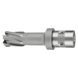 Carota carbura HM Fein prindere Quickin, 57x35mm